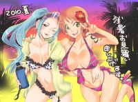 one_piece_nami_x_vivi_20130224_01.jpg